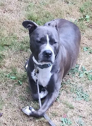 Burley Ahead of the Game